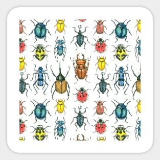 Beetles Sticker